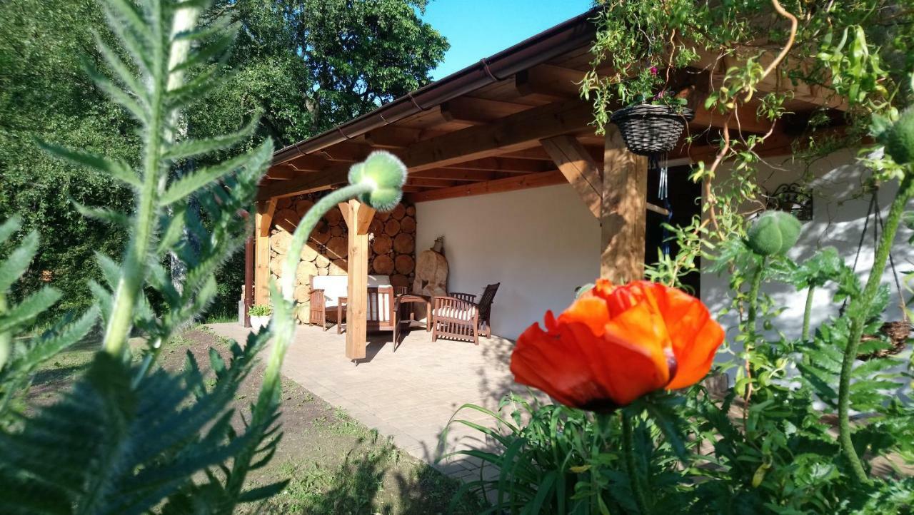 Forest Rustic Apartment Brdy Vesin Екстериор снимка