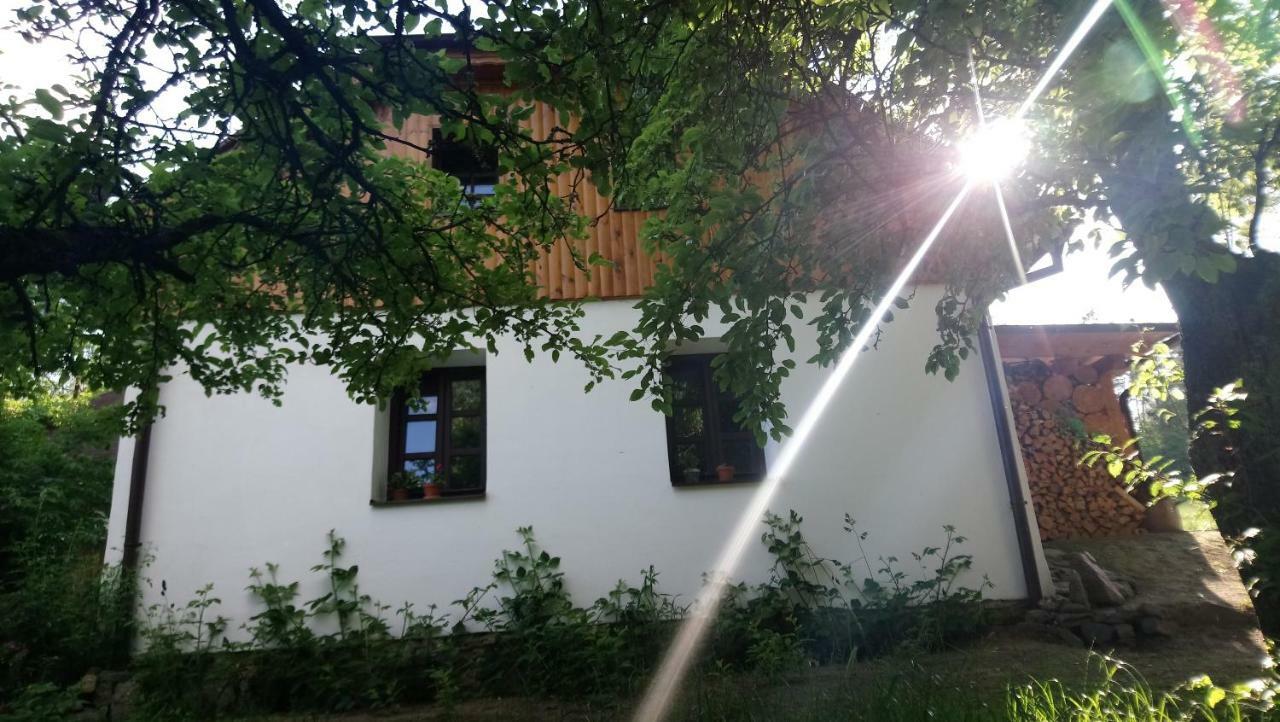 Forest Rustic Apartment Brdy Vesin Екстериор снимка